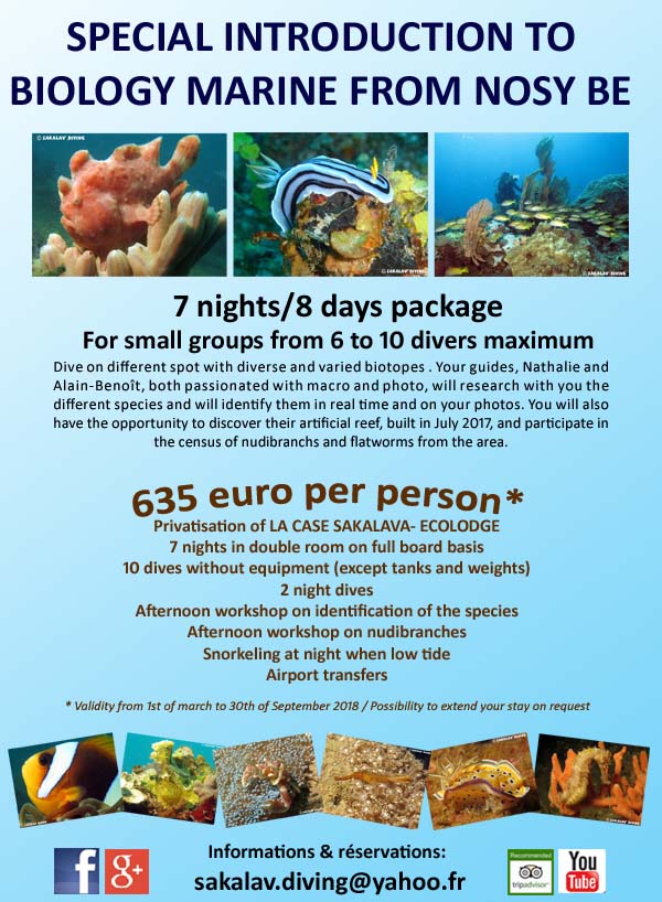 Special offers diving and accomodation Nosy Be